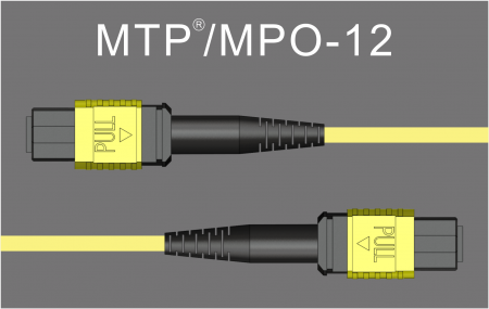 MPO-12 SMF - Cáp MPO-12 OS2 APC Nữ đến Nữ